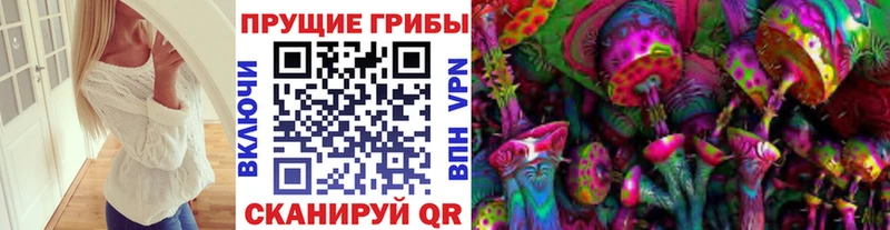 Псилоцибиновые грибы Psilocybe Устюжна