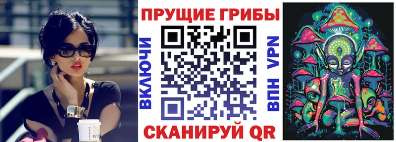 Псилоцибиновые грибы Magic Shrooms наркотики Устюжна