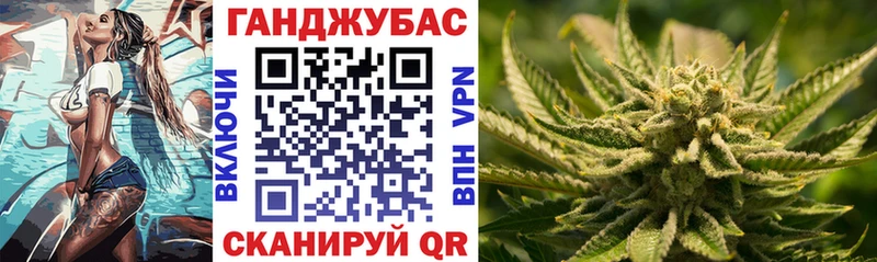 Бошки Шишки план Устюжна